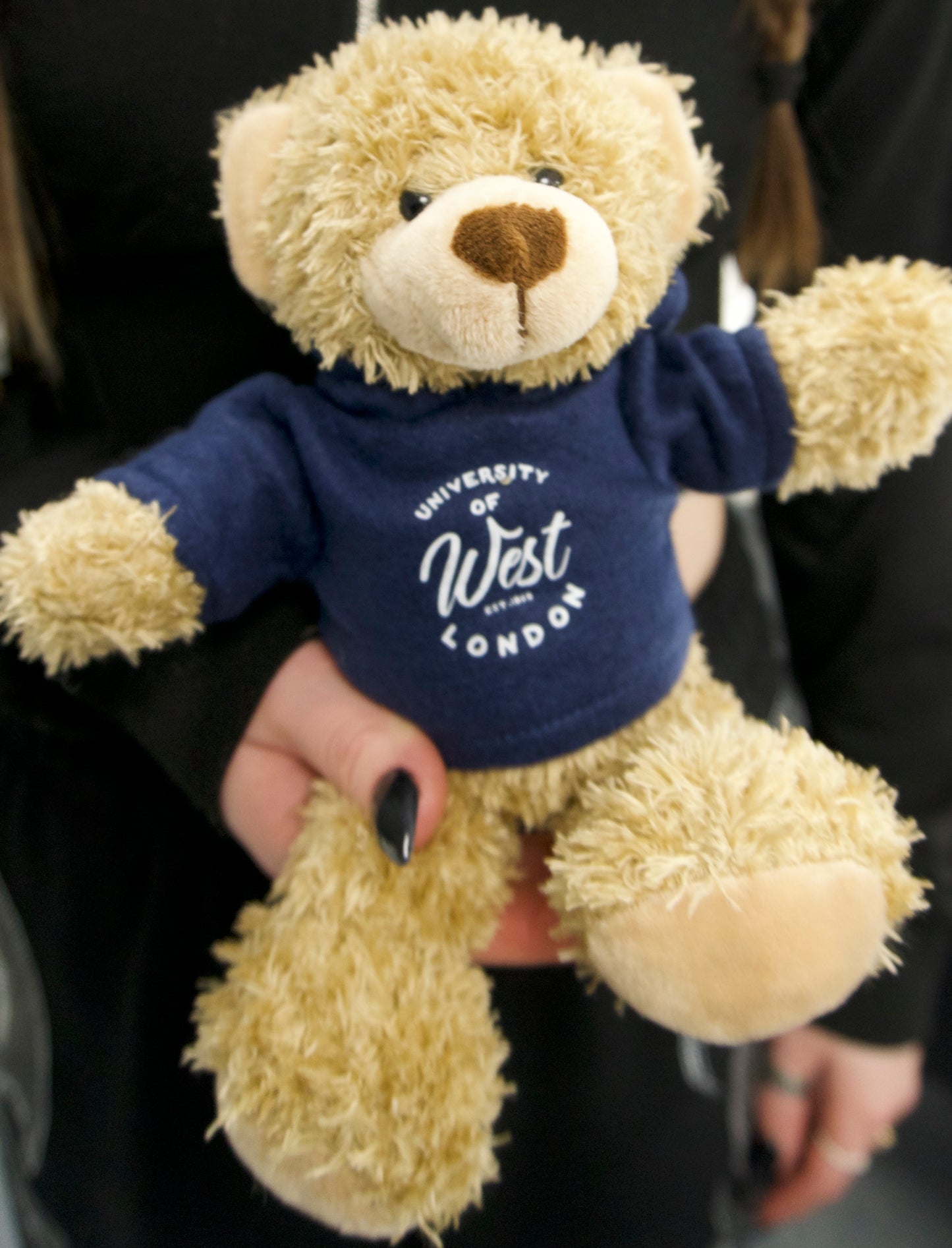 UWL Teddy Bear